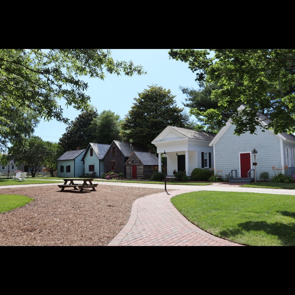 Meet your Posher, Elena